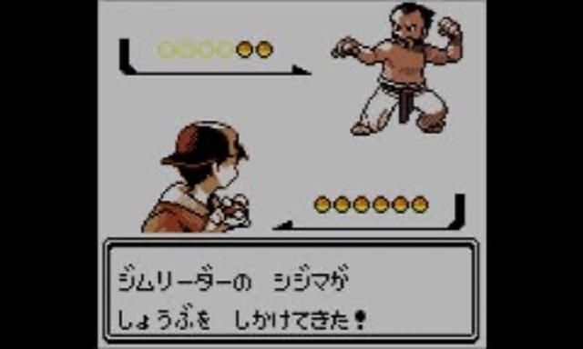 ポケモントレーナーみゆきが想像してみた からておう を現代風にすると トリッキーな総合格闘家 に決まり ポケモントレーナーみゆきのポケモン 女子ブログ