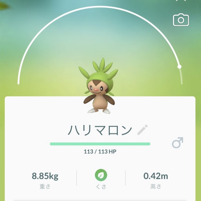 ポケモントレーナーみゆきが想像してみた 現実世界の おじょうさま は高級北欧家具メーカーの娘で決まり ポケモントレーナー みゆきのかわいいものクラブ