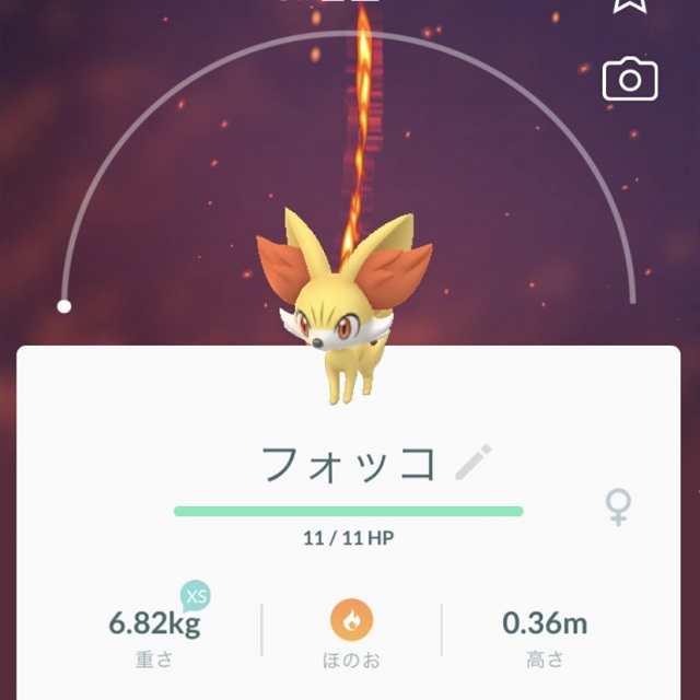 ポケモントレーナーみゆきが想像してみた 現実世界の おじょうさま は高級北欧家具メーカーの娘で決まり ポケモントレーナーみゆきのポケモン 女子ブログ