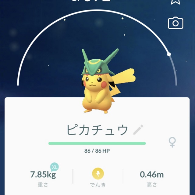 ポケモントレーナーみゆきが想像してみた レックウザピカチュウトレーナーはだーれ ポケモントレーナーみゆきのポケモン女子ブログ